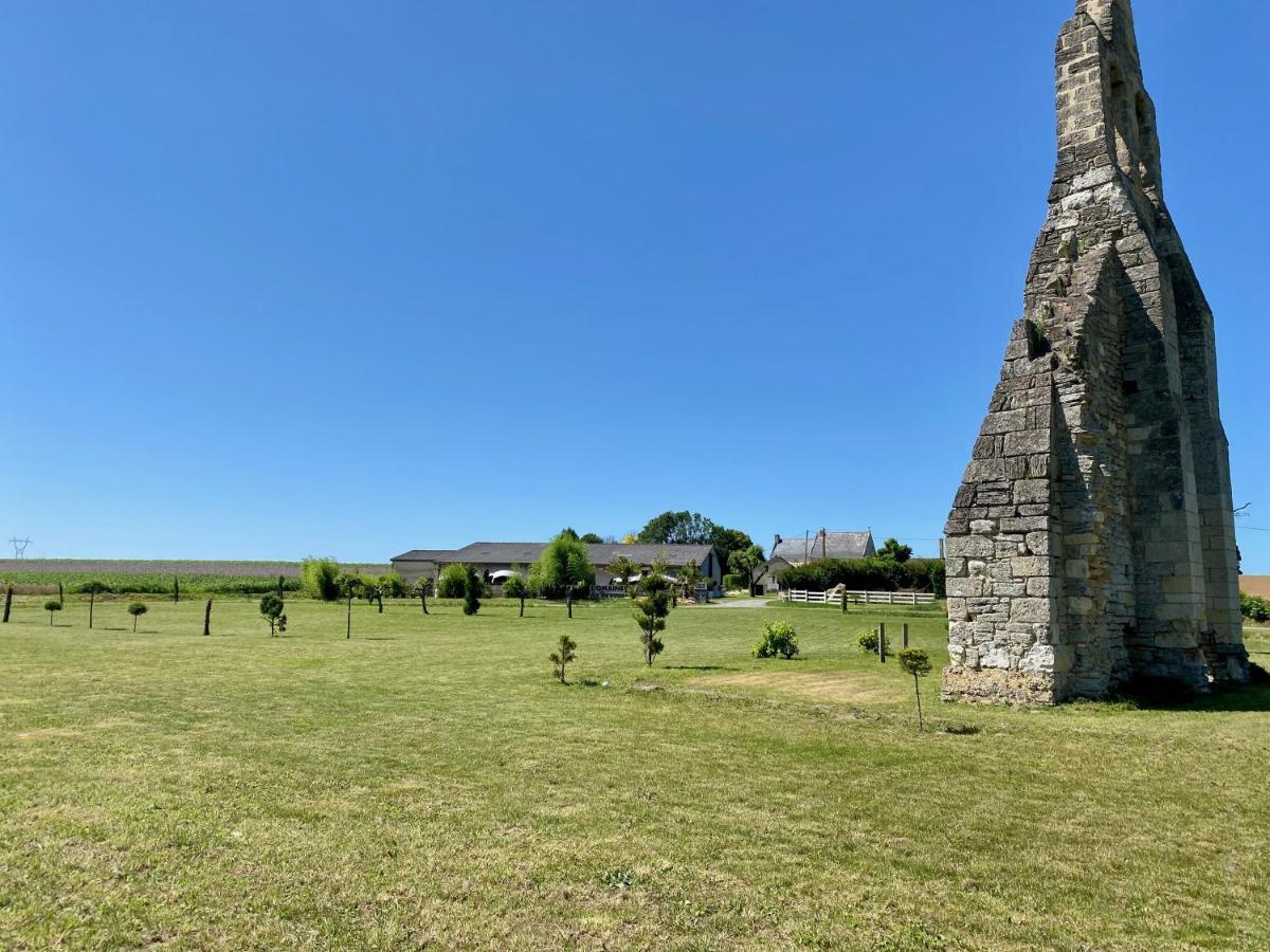 Domaine des Varennes Louresse-Rochemenier Extérieur photo