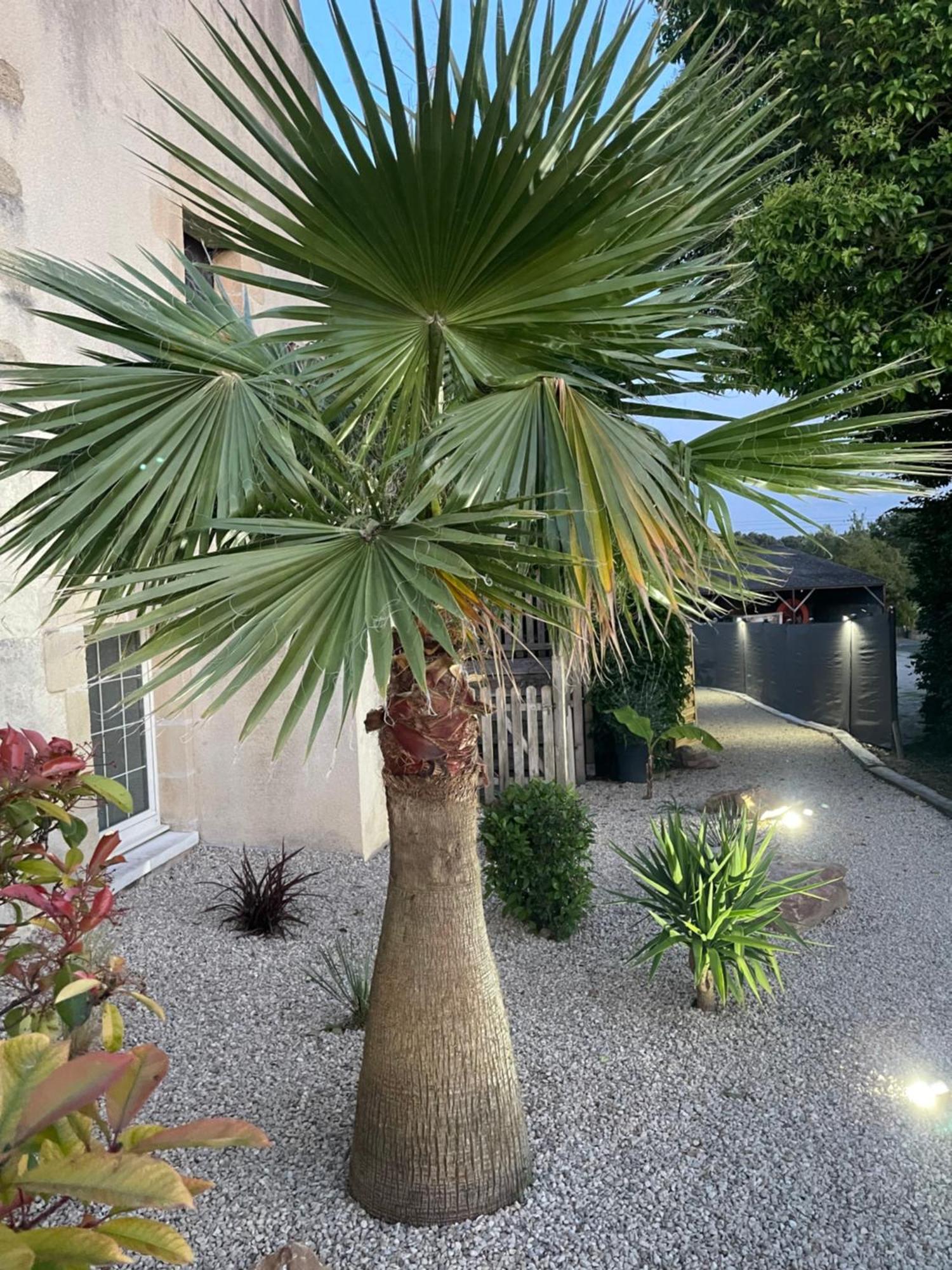 Domaine des Varennes Louresse-Rochemenier Extérieur photo